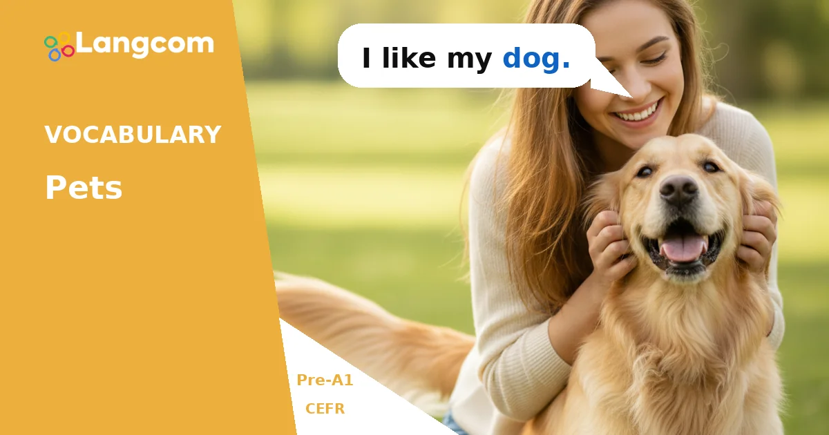 Learn Basic Pet Names in English (Pre-A1 Vocabulary) — Pre-A1 English vocabulary lesson by Langcom