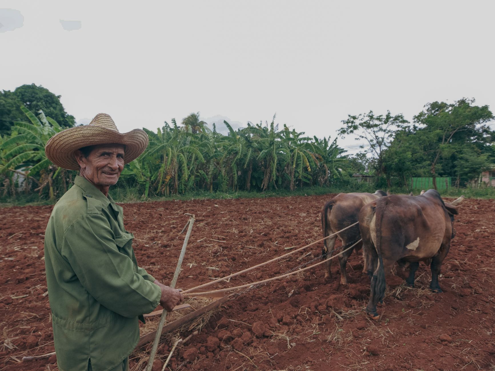 Casma Farmers Receive Crucial Soil Test Results