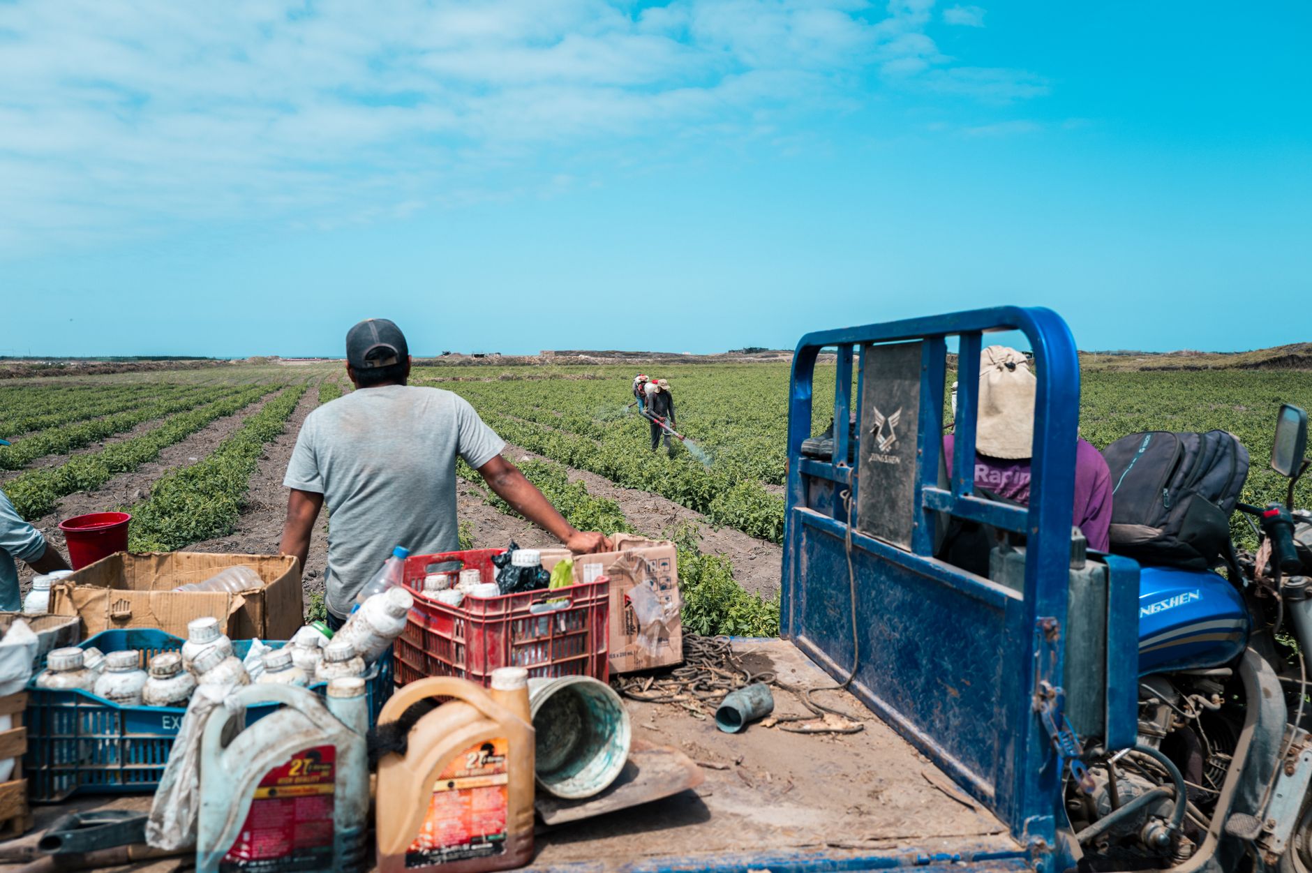 Peruvian Agro-Exports Face a Slowdown