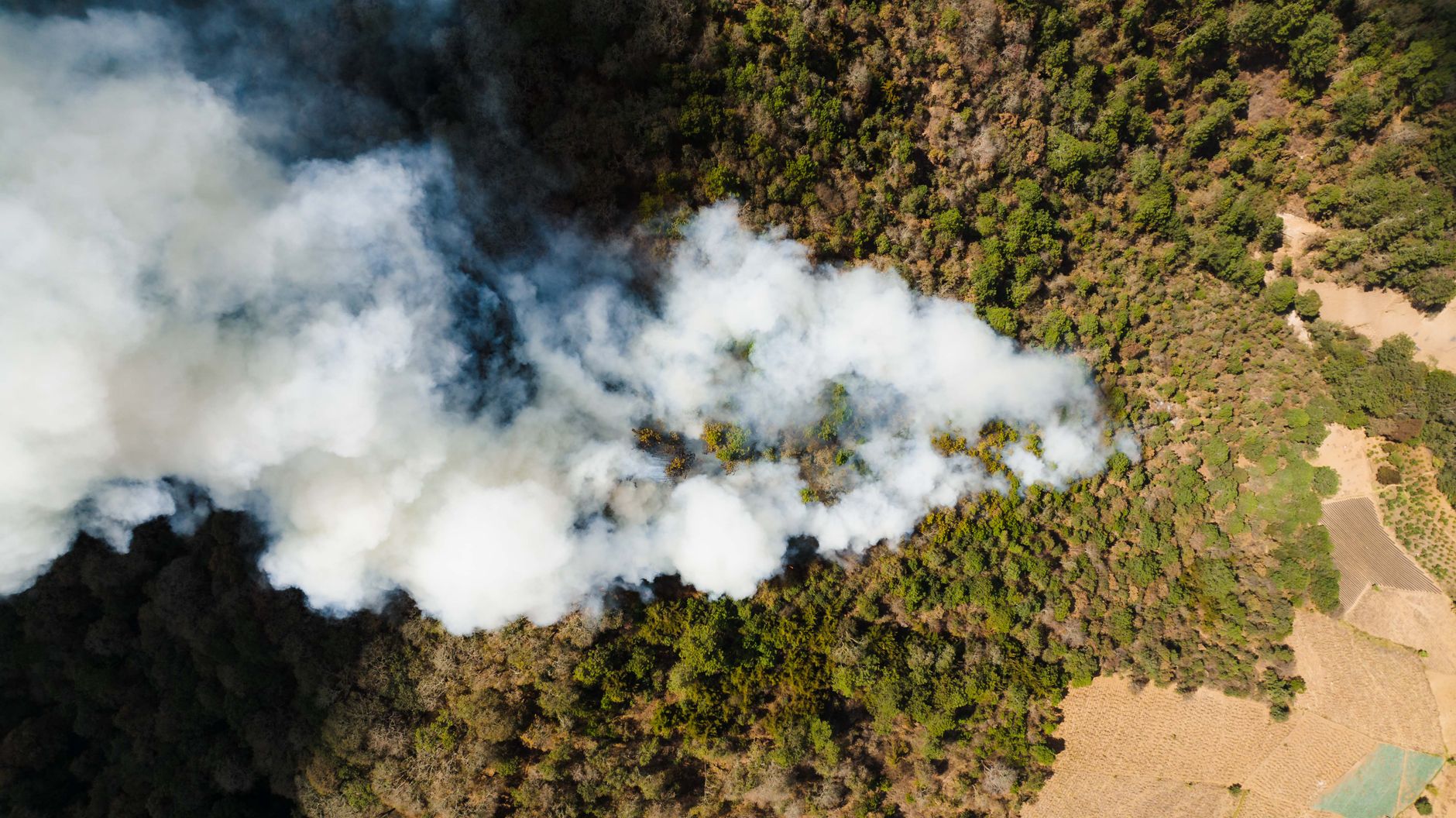 Wildfire Destroys Farmland in Recuay